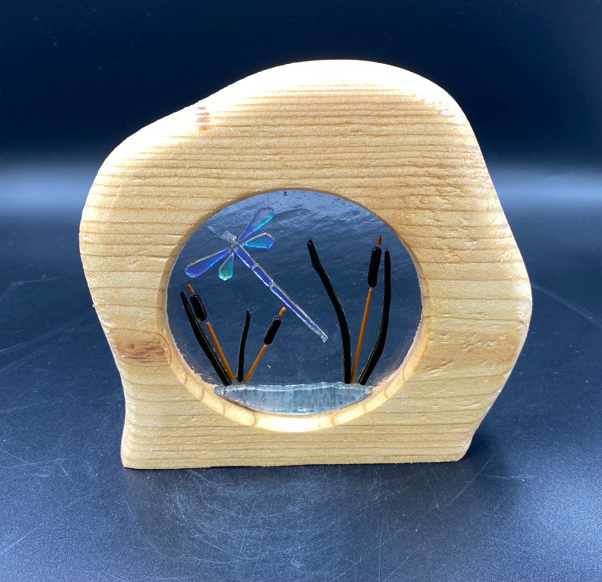 Glass in Wood Circles