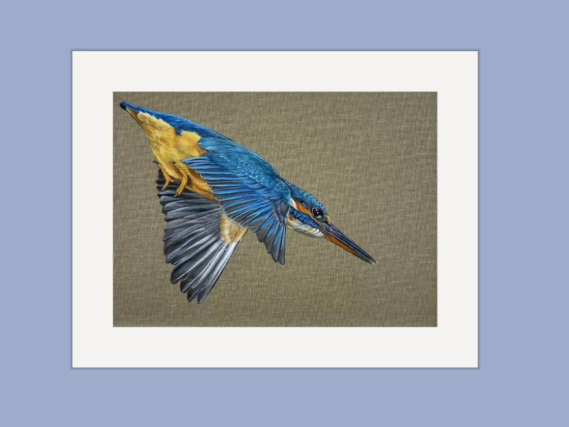 Grace the Kingfisher