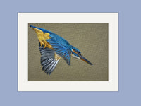 Grace the Kingfisher