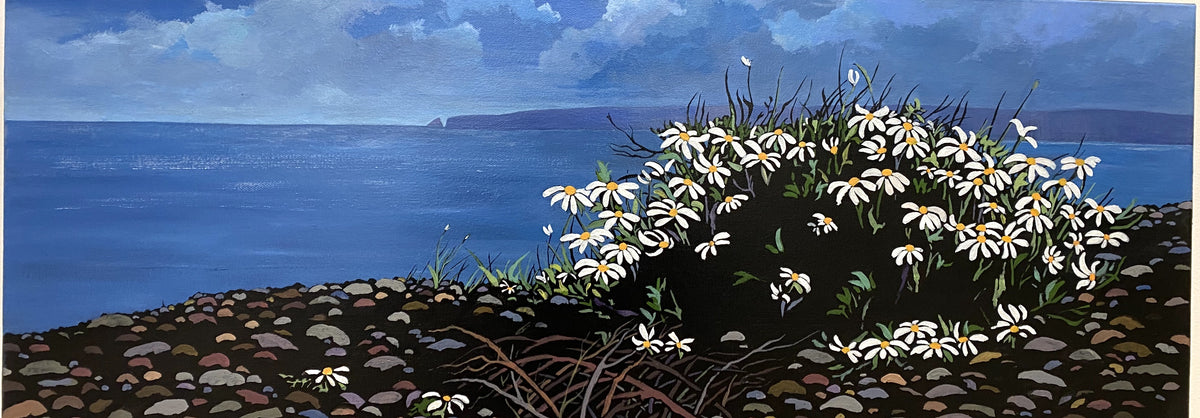 Beach Daisies