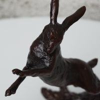Medium Hare Boxing