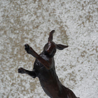 Medium Hare Boxing
