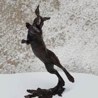 Medium Hare Boxing