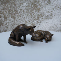 Fox Watching