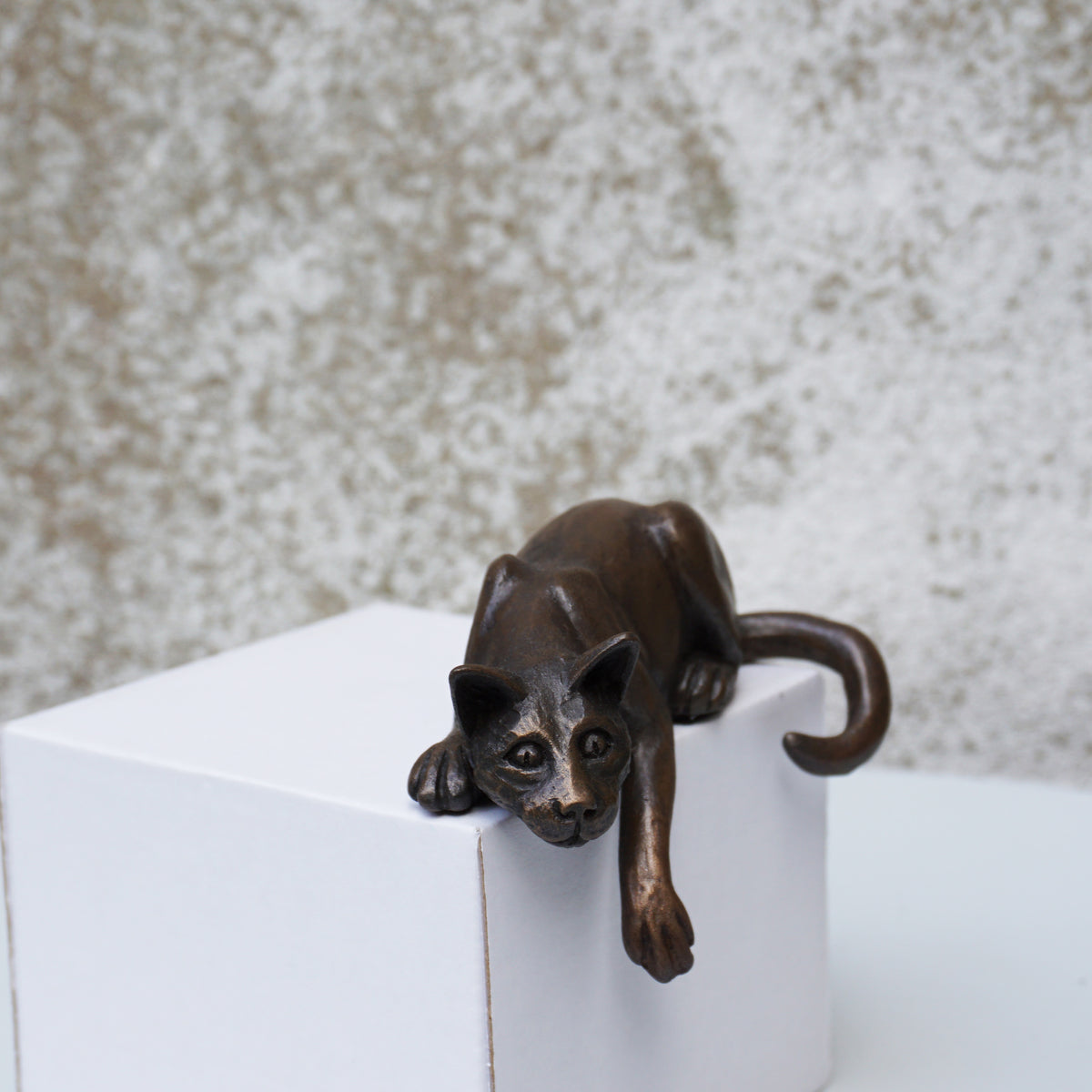 Shelf Cat