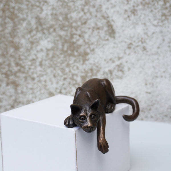 Shelf Cat