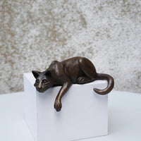 Shelf Cat