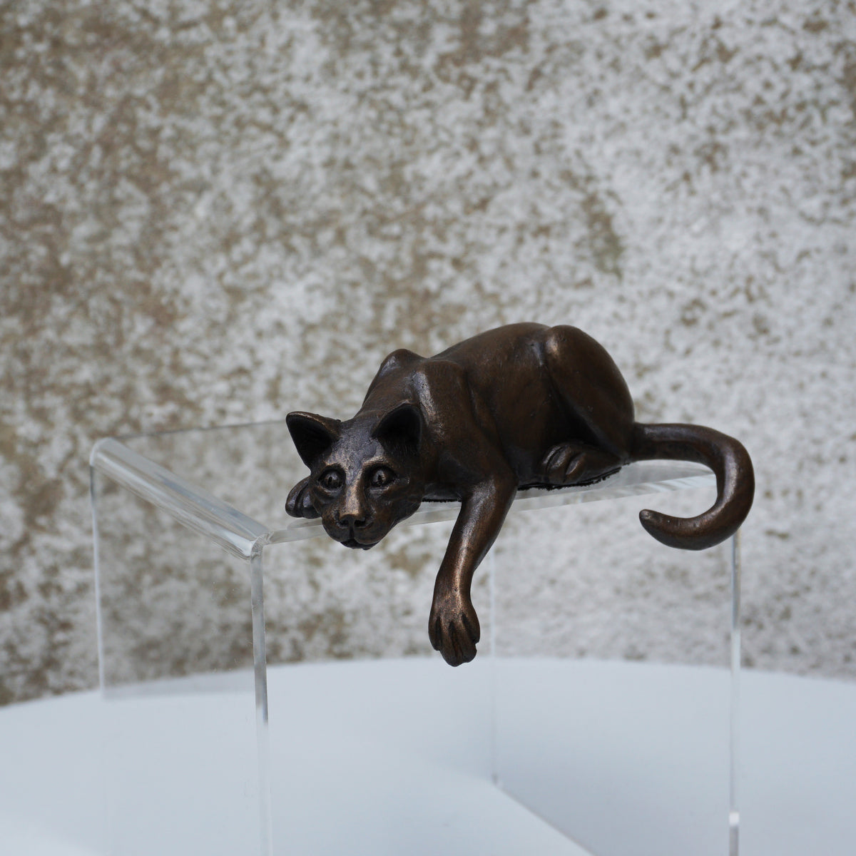 Shelf Cat