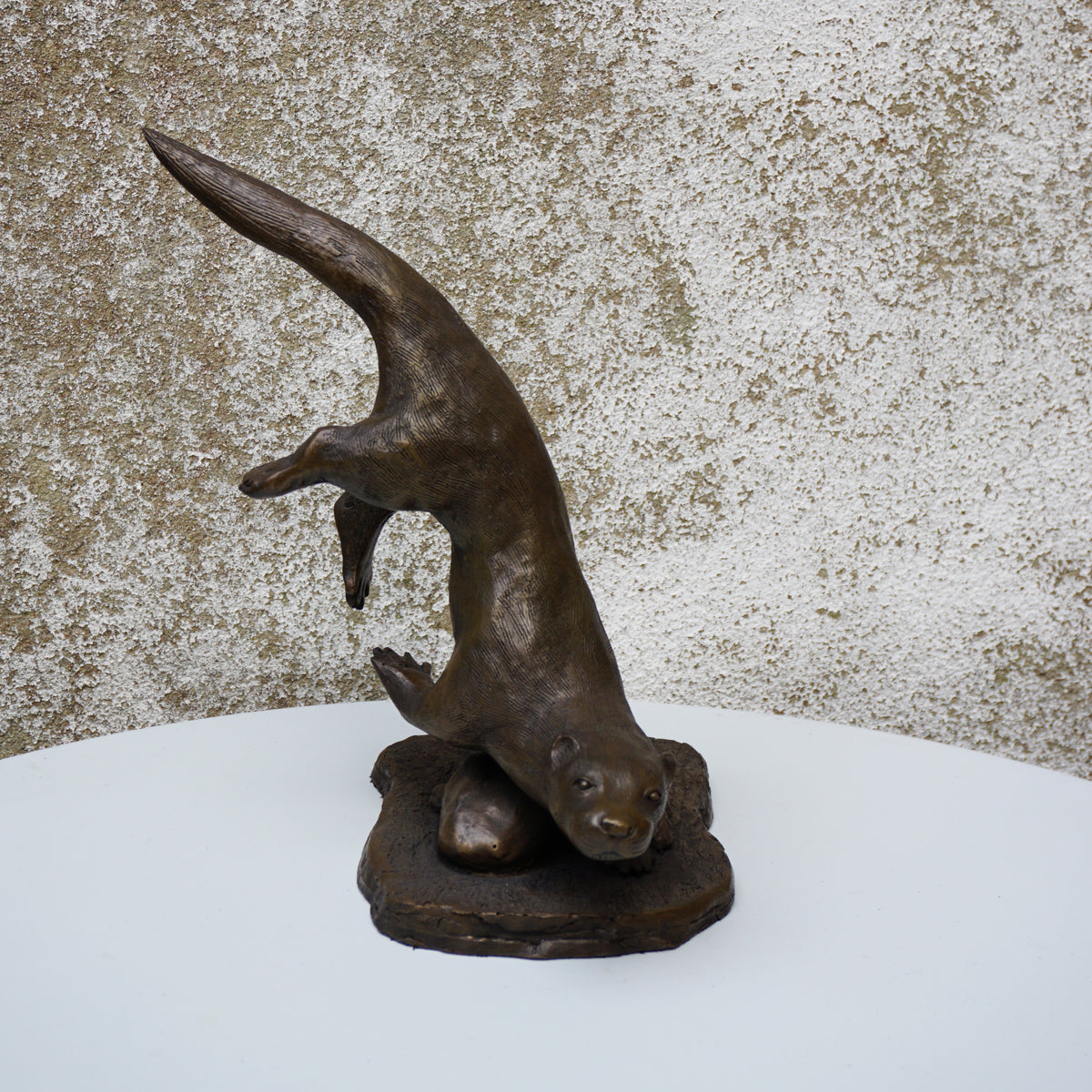 Single Diving Otter