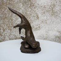 Single Diving Otter