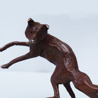 Fox Leaping