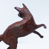 Fox Leaping