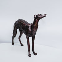 Greyhound