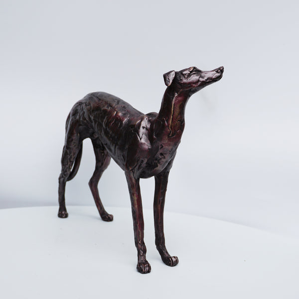 Greyhound