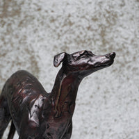 Greyhound
