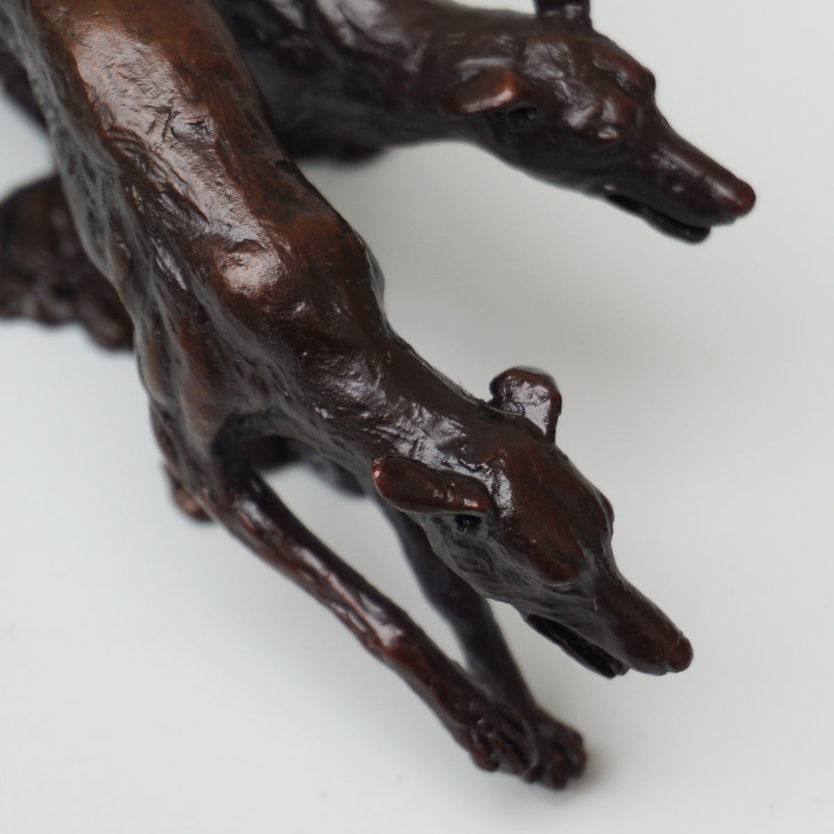 Greyhounds