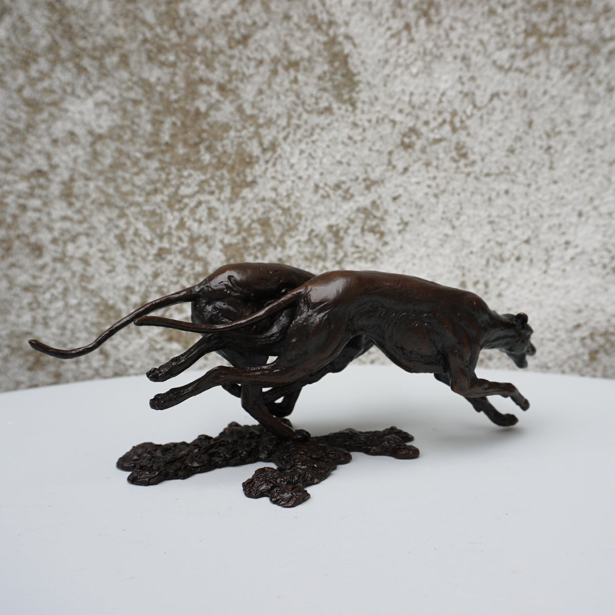 Greyhounds