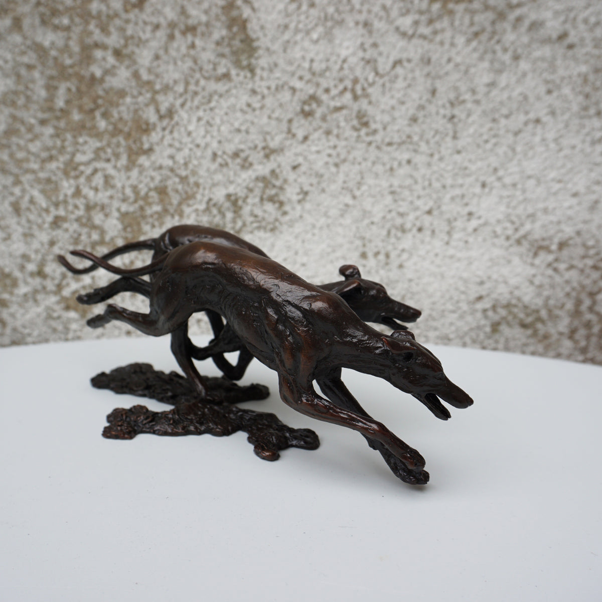 Greyhounds