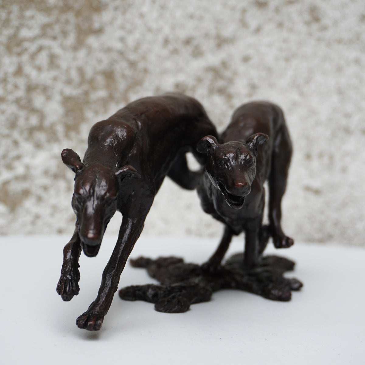 Greyhounds