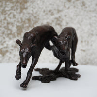 Greyhounds