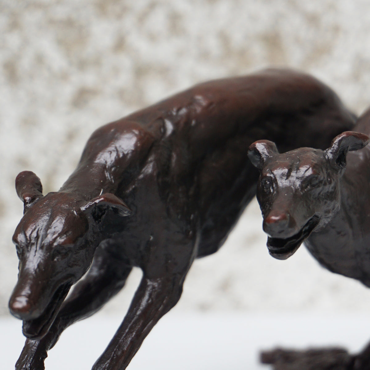 Greyhounds