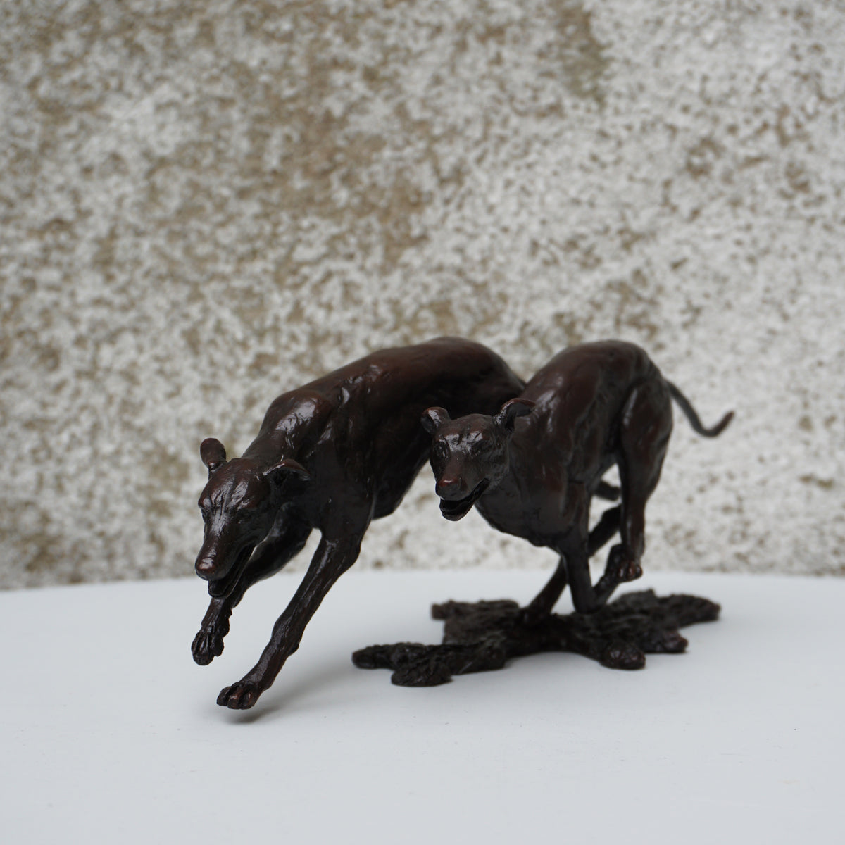 Greyhounds