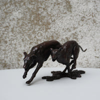 Greyhounds