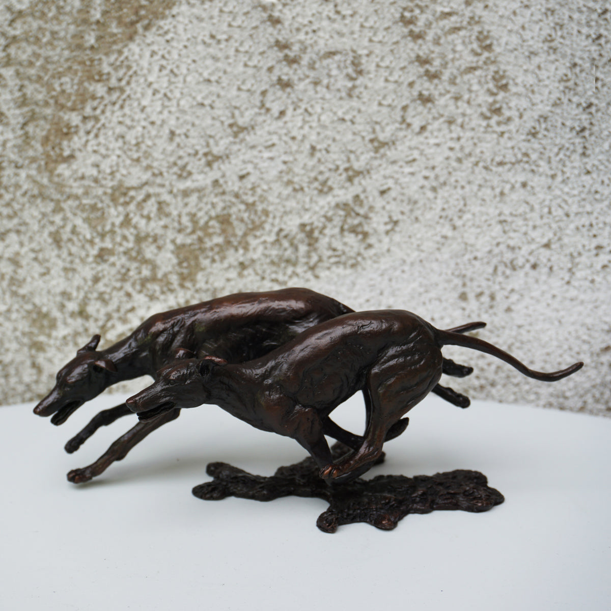 Greyhounds