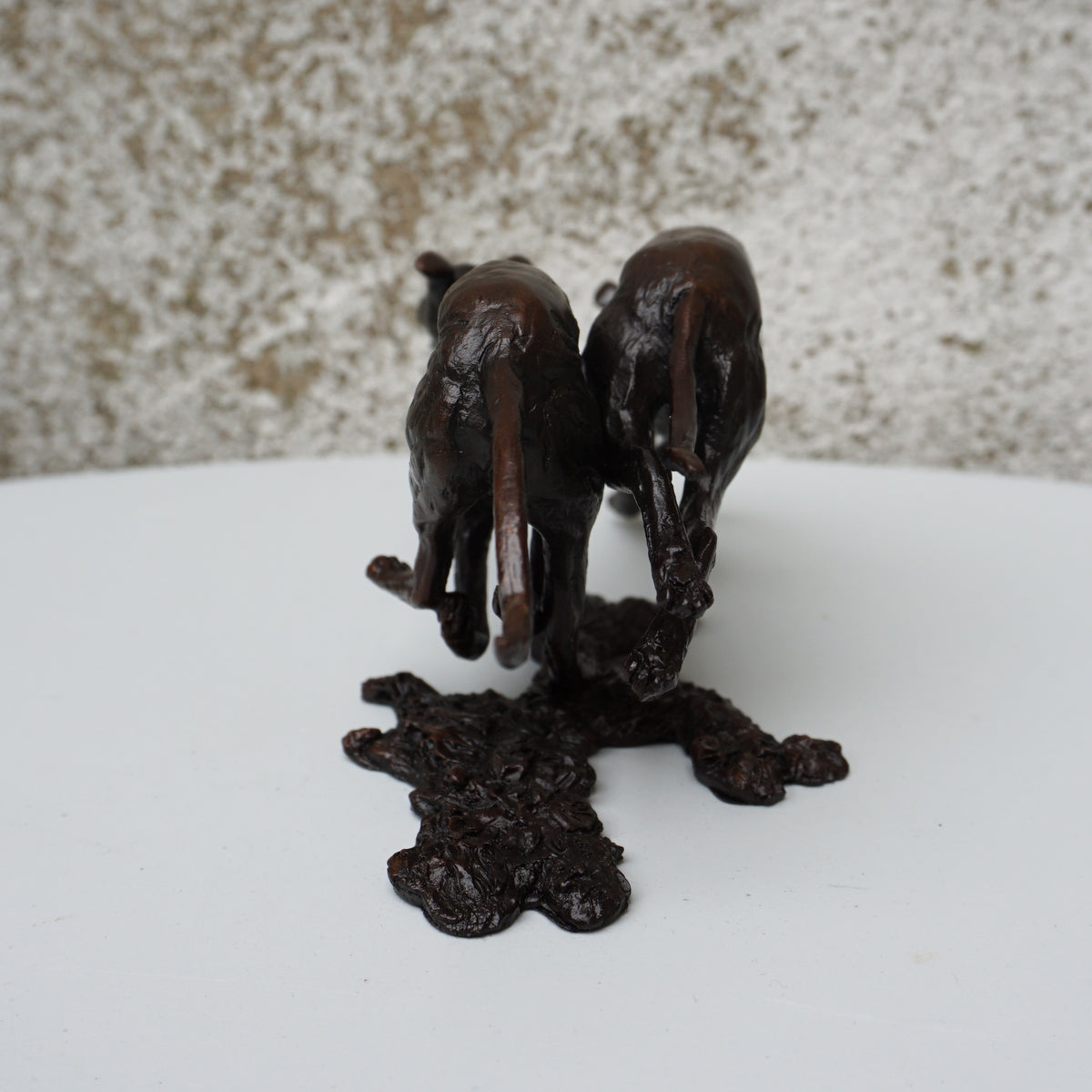 Greyhounds