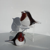 Robins - Large