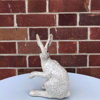 Medium Hare Paw Up