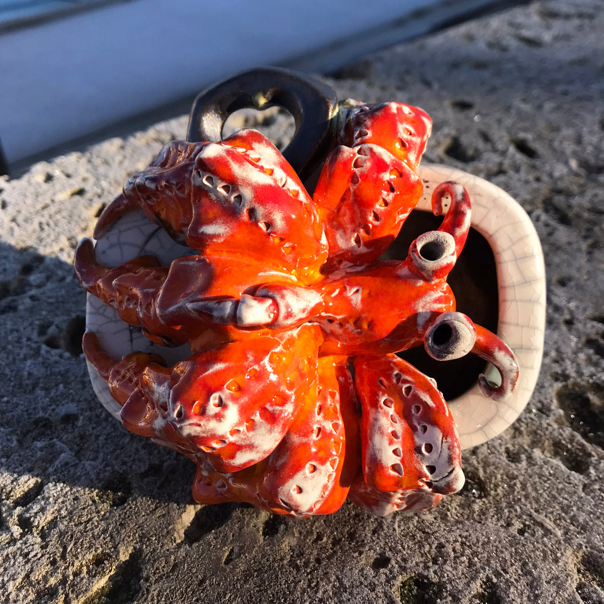 Hermit Crab in a Tin (Red)
