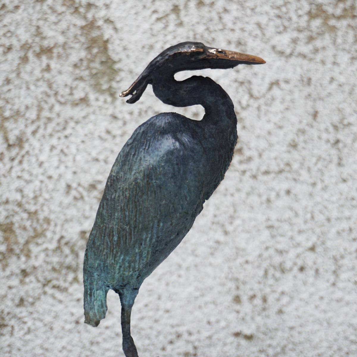 Heron on Rock - Limited Edition