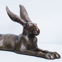 Laid Back Hare - Medium