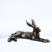 Laid Back Hare - Medium