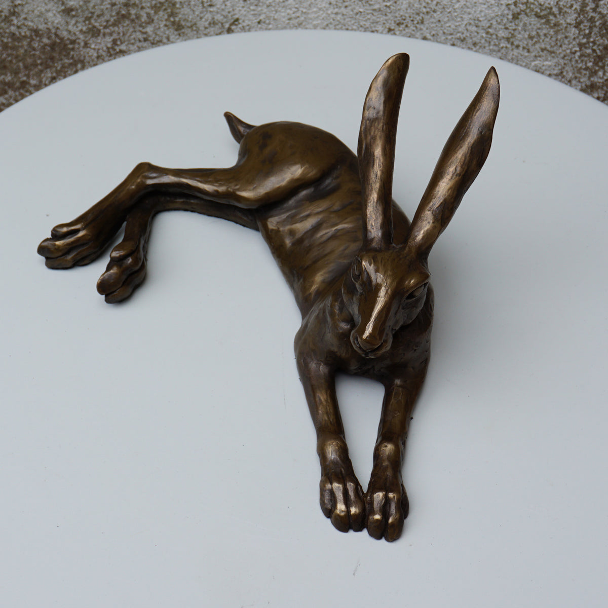 Laid Back Hare - Medium