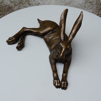 Laid Back Hare - Medium