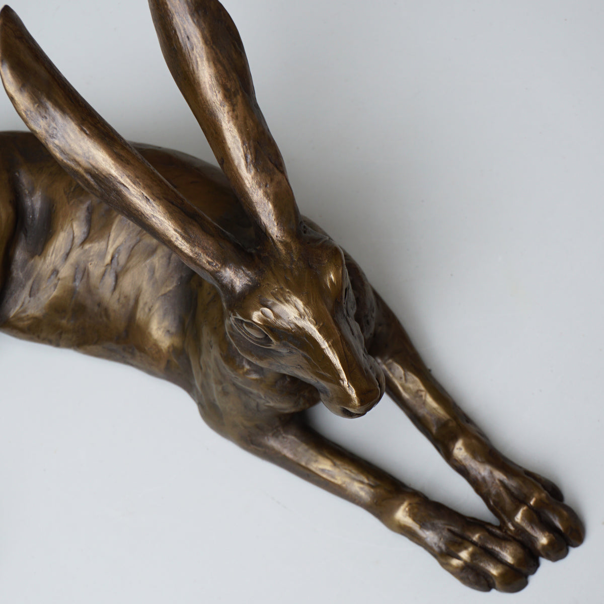Laid Back Hare - Medium