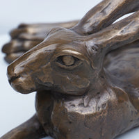 Laid Back Hare - Medium