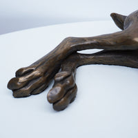 Laid Back Hare - Medium