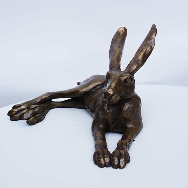 Laid Back Hare - Medium