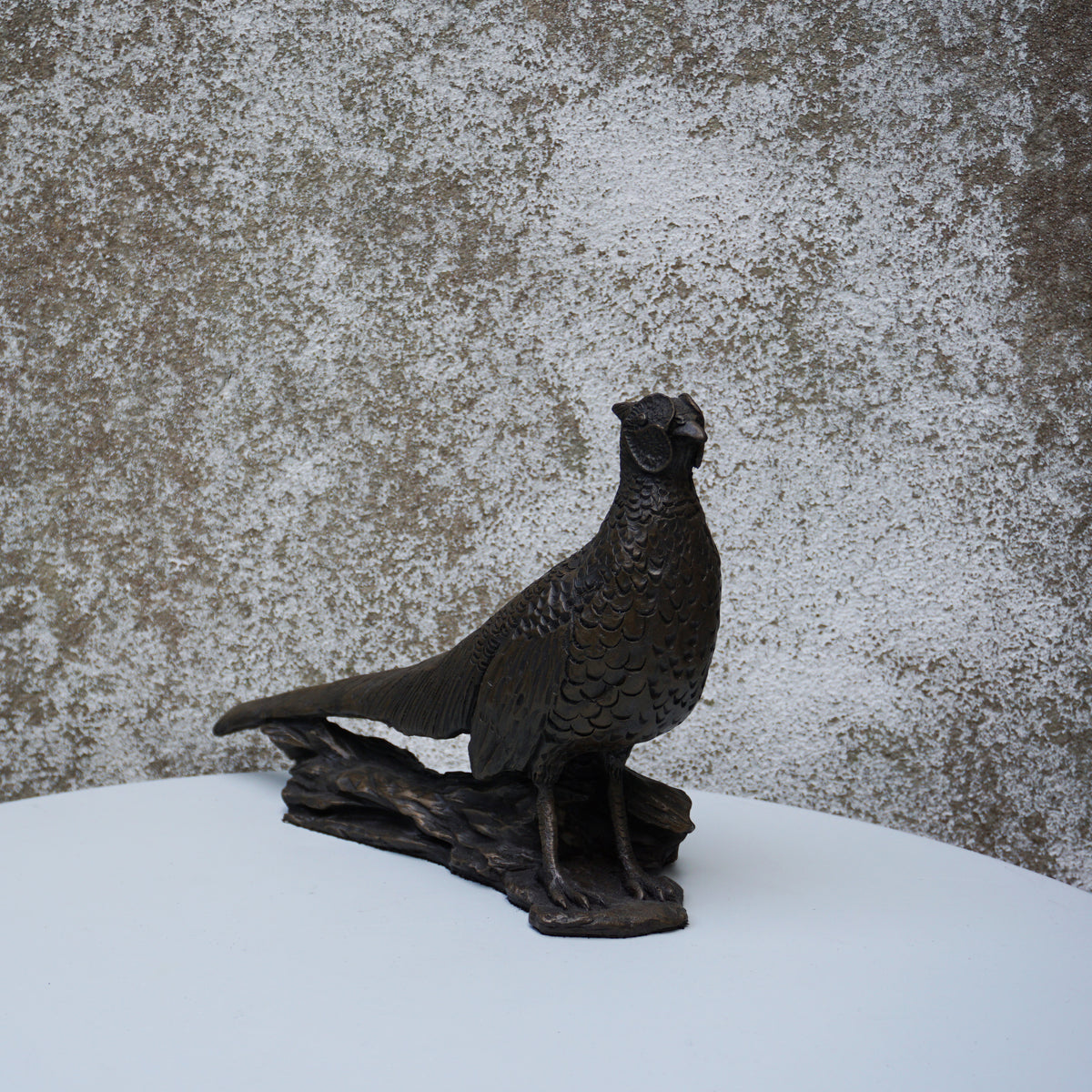 Pheasant