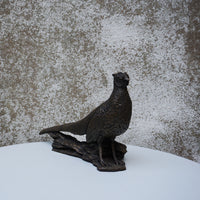 Pheasant