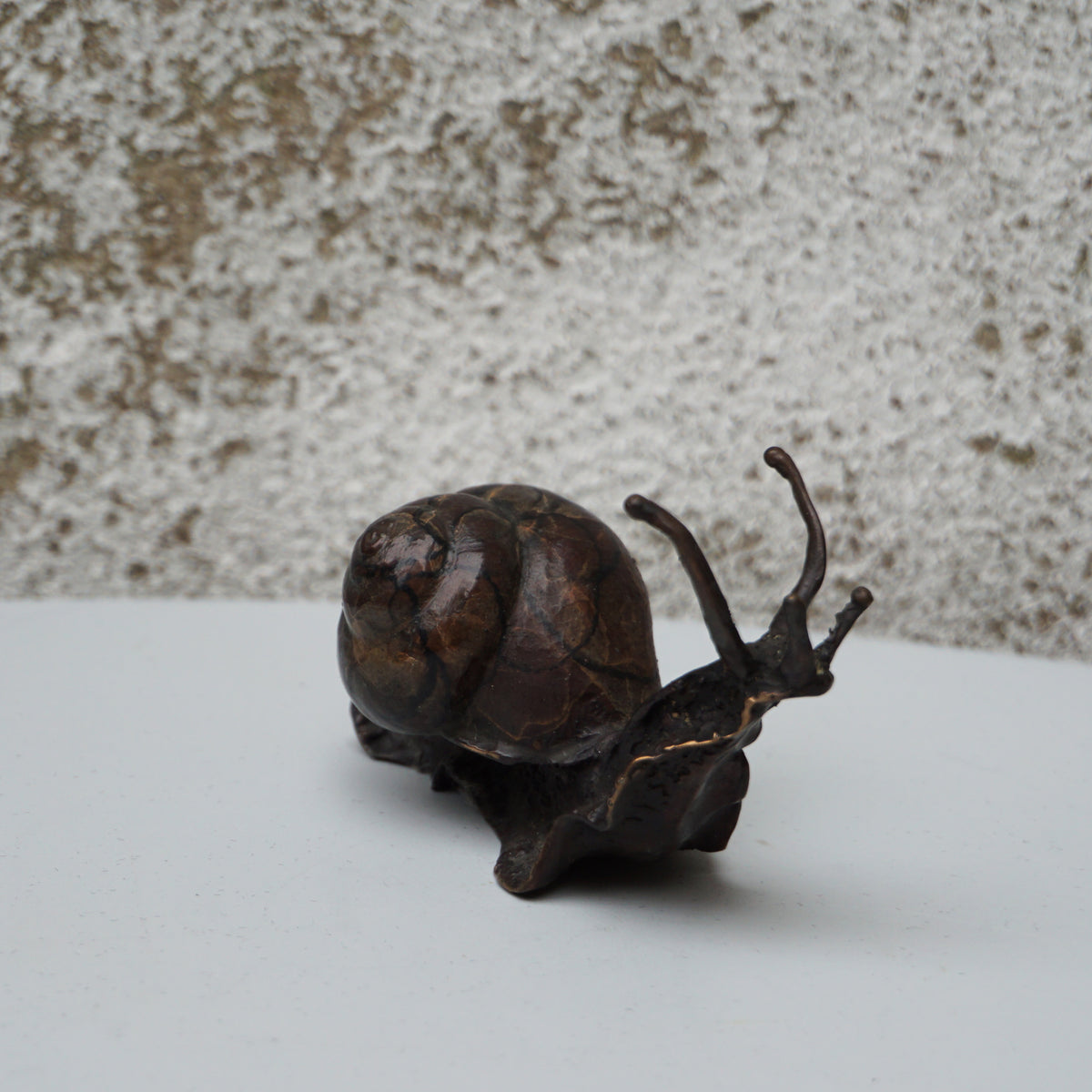 Snail - Medium