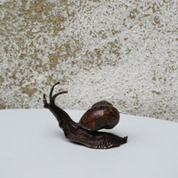 Snail - Medium