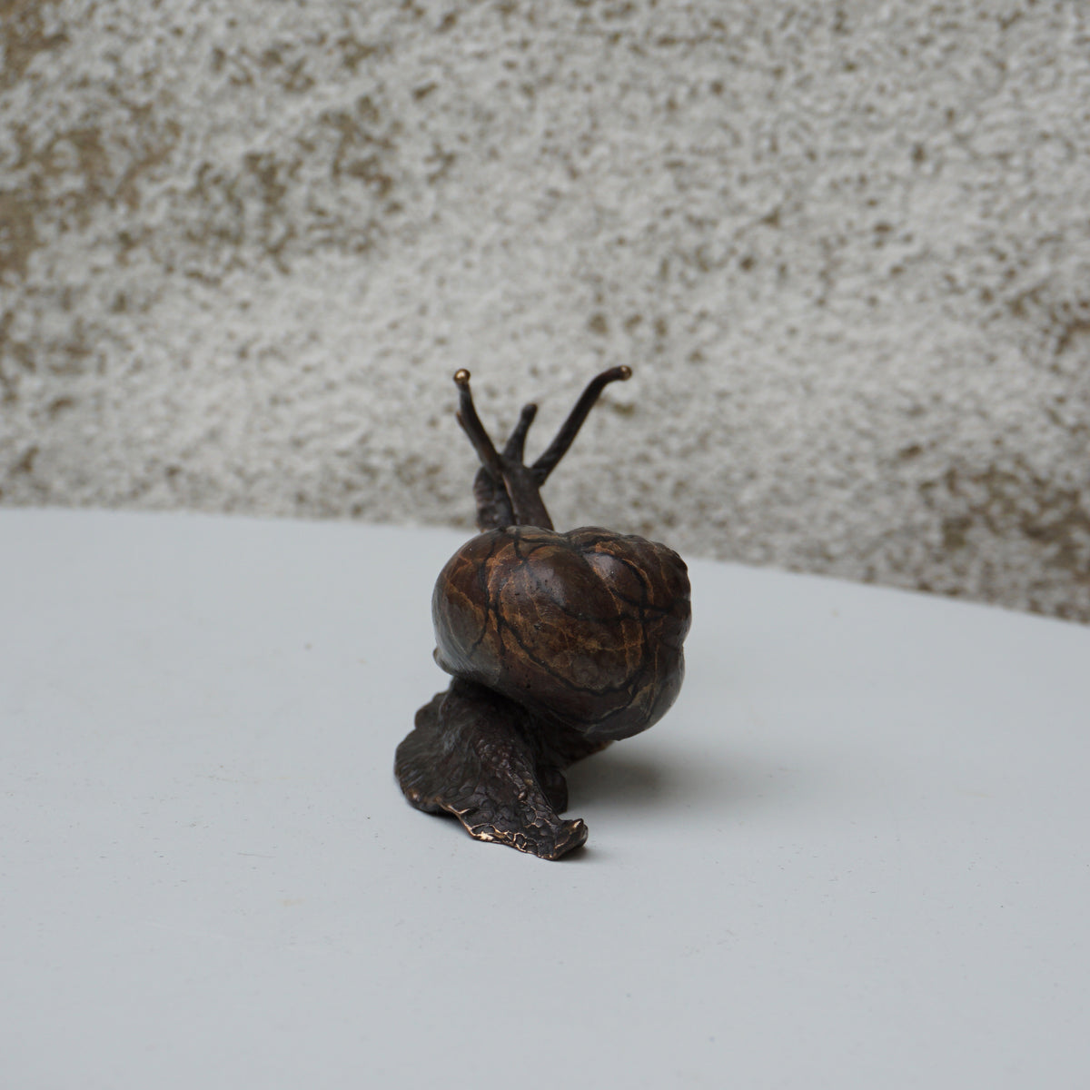 Snail - Medium