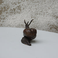 Snail - Medium
