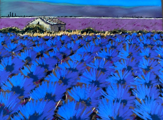 Lavender Haze
