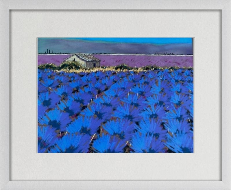 Lavender Haze