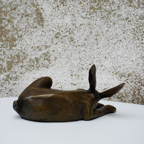 Tiny Hare Laying